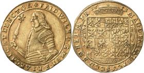 Brandenburg-Preußen: Friedrich Wilhelm