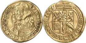 Brandenburg-Preußen: Friedrich Wilhelm