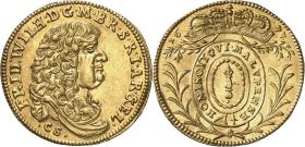 Brandenburg-Preußen: Friedrich Wilhelm
