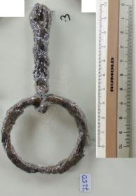 Ringtrense