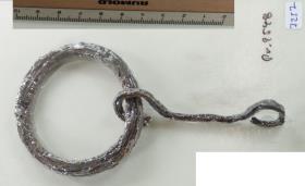Ringtrense