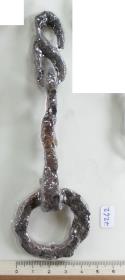 Ringtrense