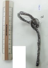 Ringtrense