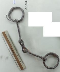 Ringtrense