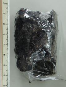 Pferdegeschirrglocke