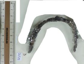 Stachelspornfragment