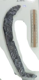 Winkelsichel