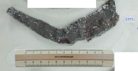Winkelsichel