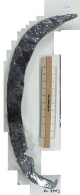 Winkelsichel