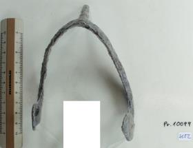 Stachelsporn