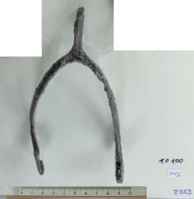Stachelsporn