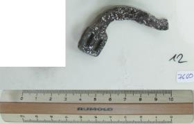 Stachelspornfragment