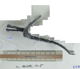 Radsporn