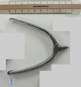 Stachelsporn