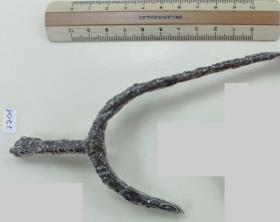 Stachelsporn