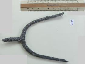 Stachelsporn