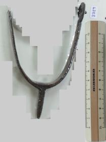 Stachelsporn
