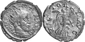 Iotapianus