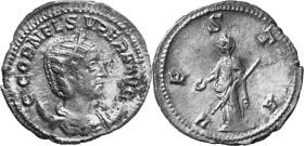 Cornelia Supera
