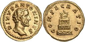 Divus Antoninus Pius