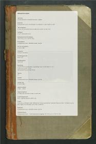 IV. Holz und Leder (Möbeltheile) u. andere Schnitzwerke. Nr. 2401-3100