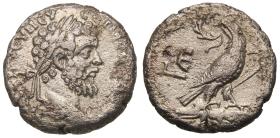 Alexandria: Septimius Severus