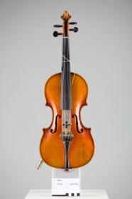 Violine