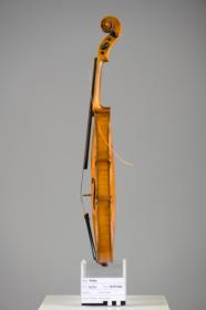 Violine