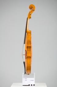 Violine
