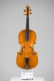 Violine
