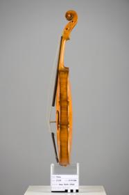 Violine