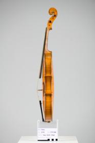 Violine