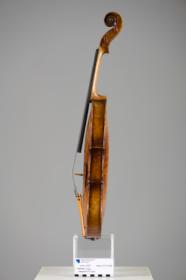 Violine