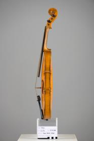 Violine