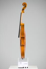 Violine