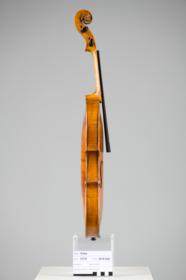 Violine