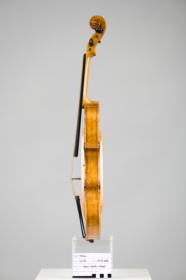 Violine
