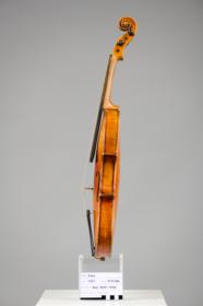 Violine