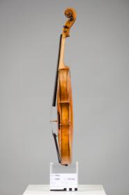 Violine