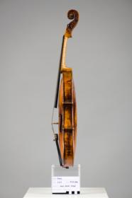 Violine