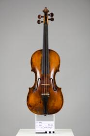 Violine