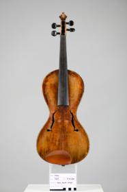 Violine