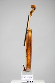 Violine