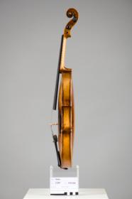 Violine