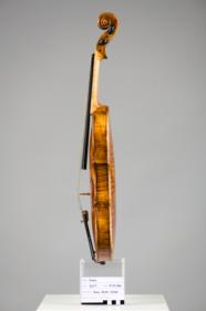 Violine