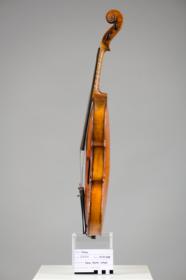 Violine