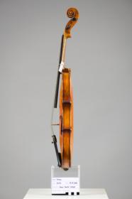 Violine