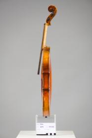 Violine