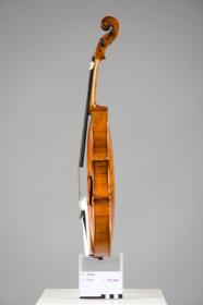 Violine