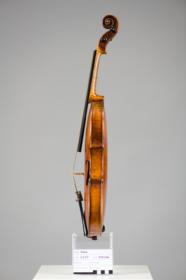 Violine